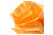 Canson Rouleaux Papier de soie 0,5 x 5 m Orange