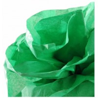 Canson Rouleaux Papier de soie 0,5 x 5 m Vert franc