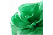 Canson Rouleaux Papier de soie 0,5 x 5 m Vert franc