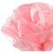 Canson Rouleaux Papier de soie 0,5 x 5 m Rose Bonbon