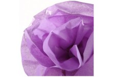 Canson Rouleaux Papier de soie 0,5 x 5 m Lilas