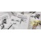 Canson 48990 Bloc Spirale C Grain Croquis Dos Tres Rigide 180G A4+ Papier Assorties