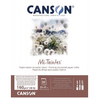 CANSON Papier MI-TEINTES® (nid-d'abeilles) - Bloc 20 feuilles 32X41 160g/m² Blanc 335