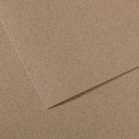 Lot de 10 : Feuille Mi-Teintes® 50x65 160g/m², coloris gris chine 431