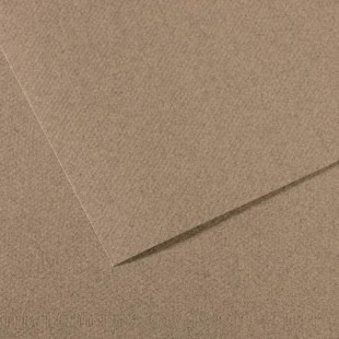 Lot de 10 : Feuille Mi-Teintes® 50x65 160g/m², coloris gris chine 431