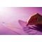 CANSON MI-TEINTES® Papier a dessin - Bloc 20 feuilles 24x32 160g/m² Nuances de marron