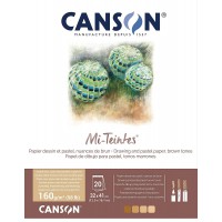 CANSON Papier MI-TEINTES® (nid-d'abeilles) - Bloc 20 feuilles 32X41 160g/m² Nuances de marron
