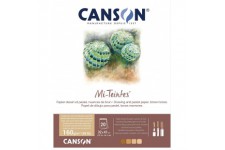 CANSON Papier MI-TEINTES® (nid-d'abeilles) - Bloc 20 feuilles 32X41 160g/m² Nuances de marron
