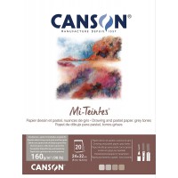 CANSON MI-TEINTES® Papier a dessin - Bloc 20 feuilles 24x32 160g/m² Nuances de gris