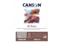 CANSON MI-TEINTES® Papier a dessin - Bloc 20 feuilles 24x32 160g/m² Nuances de gris