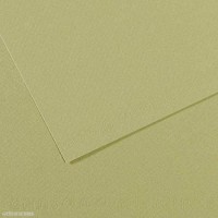 Lot de 10 : Canson Papier Mi-Teintes® Vert Amande