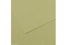 Lot de 10 : Canson Papier Mi-Teintes® Vert Amande
