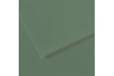 Lot de 10 : Feuille Mi-TeintesÂ® 50x65 160g/mÂ², coloris sauge 190