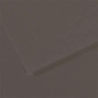Lot de 10 : Feuille Mi-TeintesÂ® 50x65 160g/mÂ², coloris gris anthracite 184