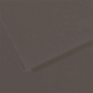 Lot de 10 : Feuille Mi-TeintesÂ® 50x65 160g/mÂ², coloris gris anthracite 184