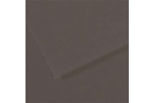 Lot de 10 : Feuille Mi-TeintesÂ® 50x65 160g/mÂ², coloris gris anthracite 184