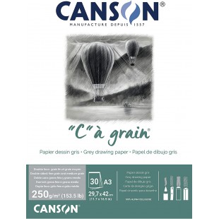 CANSON "C" a  GRAIN Bloc 30 feuilles A3 250g/m² couleur gris