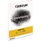 CANSON Bloc 20 feuilles GRADUATE Bristol - colle petit cote - A5 180g/m²