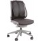 Fellowes Support Dorsal en Maille Office Suites, Soutien Lombaire Ergonomique, avec Sangle elastique, Noir