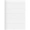 e Lot de 10 Pqts de 50 Feuillets mobiles PRO TERRA 70g A4 ligne perfore