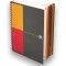OXFORD Cahier International Filingbook A4+ Petits Carreaux 5mm 200 Pages Reliure Integrale Couverture Carte Rigide Gris