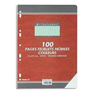OXFORD OFFICE Feuillets mobiles 21x29,7 cm 100 pages grands carreaux verts 80g
