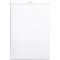 RHODIA 19201C - Bloc-Notes Agrafe N°19 White - A4+ - Petits Carreaux - 80 Feuilles Detachables - Papier Clairefontaine 80G - Cou