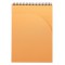 RHODIA 19920C - Bloc-Notes a  Spirale (Reliure Integrale) Notepad Noir A4 | Petits Carreaux | 80 Feuilles Detachables - Papier C