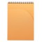 RHODIA 19920C - Bloc-Notes a  Spirale (Reliure Integrale) Notepad Noir A4 | Petits Carreaux | 80 Feuilles Detachables - Papier C