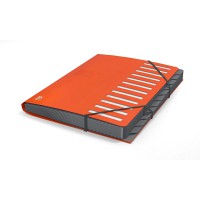 Business Trieur en polypropylene mat opaque 12 intercalaires A4 Orange