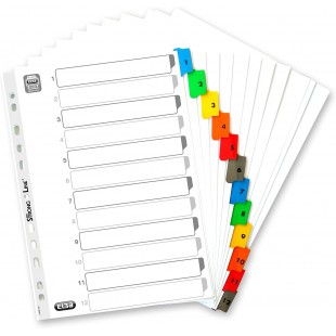 Strongline Intercalaire numerique A4 en carte 170 g Couleurs assorties