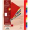 Exacompta - Ref. 92E - Intercalaires en polypropylene avec 12 onglets imprimes mensuel de Janvier a  Decembre en couleur - Page 