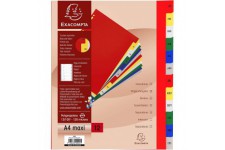 Exacompta - Ref. 92E - Intercalaires en polypropylene avec 12 onglets imprimes mensuel de Janvier a  Decembre en couleur - Page 