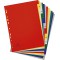 Exacompta - Ref. 92E - Intercalaires en polypropylene avec 12 onglets imprimes mensuel de Janvier a  Decembre en couleur - Page 