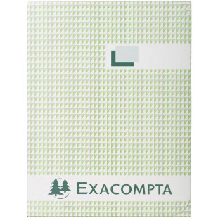 Exacompta -422E- Registre pique foliote format Vertical 29,7 x 21 cm 200 pages lignees 110 g/m²