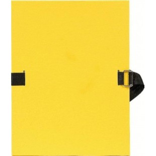 EXACOMPTA Chemise a  dos extensible, A4, carton, jaune