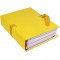 EXACOMPTA Chemise a  dos extensible, A4, carton, jaune