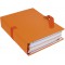 Exacompta - Ref. 734E - 1 Chemise carton papier toile 240 x 320 mm dos extensible 120 mm sangle coton boucle Crantee