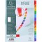 Exacompta - Ref. 1112E - Intercalaires en carte blanche 160g/m2 FSC® avec 12 onglets imprimes numeriques de 1 a  12 couleur - Pa