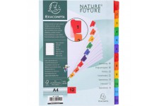 Exacompta - Ref. 1112E - Intercalaires en carte blanche 160g/m2 FSC® avec 12 onglets imprimes numeriques de 1 a  12 couleur - Pa