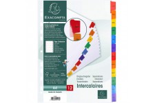 Exacompta - Ref. 1113E - Intercalaires en carte blanche 160g/m2 FSC® avec 12 onglets imprimes mensuel de Janvier a  Decembre en 