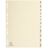 Exacompta - Ref. 1212E - Intercalaires en Carte ivoire 155g/m2 FSC® avec 12 onglets imprimes mensuel de Janvier a D