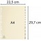 Exacompta - Ref. 1212E - Intercalaires en Carte ivoire 155g/m2 FSC® avec 12 onglets imprimes mensuel de Janvier a D