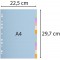 Exacompta - Ref. 1612E - Intercalaires en carte pastel recyclee 170g/m2 avec 12 onglets neutres - Format a classer 