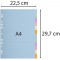 Exacompta - Ref. 1612E - Intercalaires en carte pastel recyclee 170g/m2 avec 12 onglets neutres - Format a classer 
