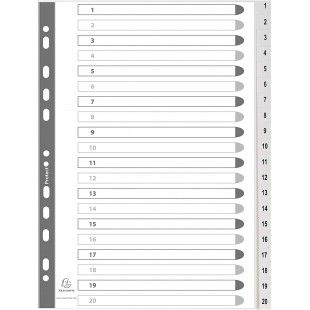 Exacompta - Ref. 1721E - Intercalaires gris en polypropylene recycle avec 20 onglets imprimes numeriques de 1 a 20 