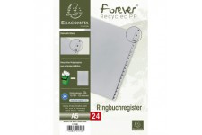 Exacompta - Ref 1743B - Intercalaires en polypropylene gris - 24 touches imprimees - alphabet allemand - adapte pour un classeme