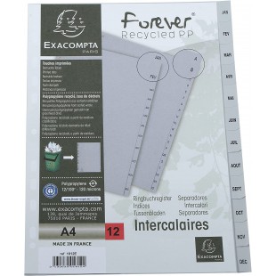 Exacompta - Ref. 1812E - Intercalaires gris en polypropylene recycle avec 12 onglets imprimes mensuel de Janvier a  Decembre - F