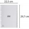 Exacompta - Ref. 1931E - Intercalaires gris en polypropylene recycle avec 31 onglets imprimes numeriques de 1 a  31 - Format a  