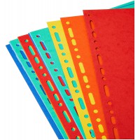 Exacompta - Ref. 2112E - Intercalaires en carte coloris vifs recyclee 220g/m2 avec 12 onglets neutres - Format a cl